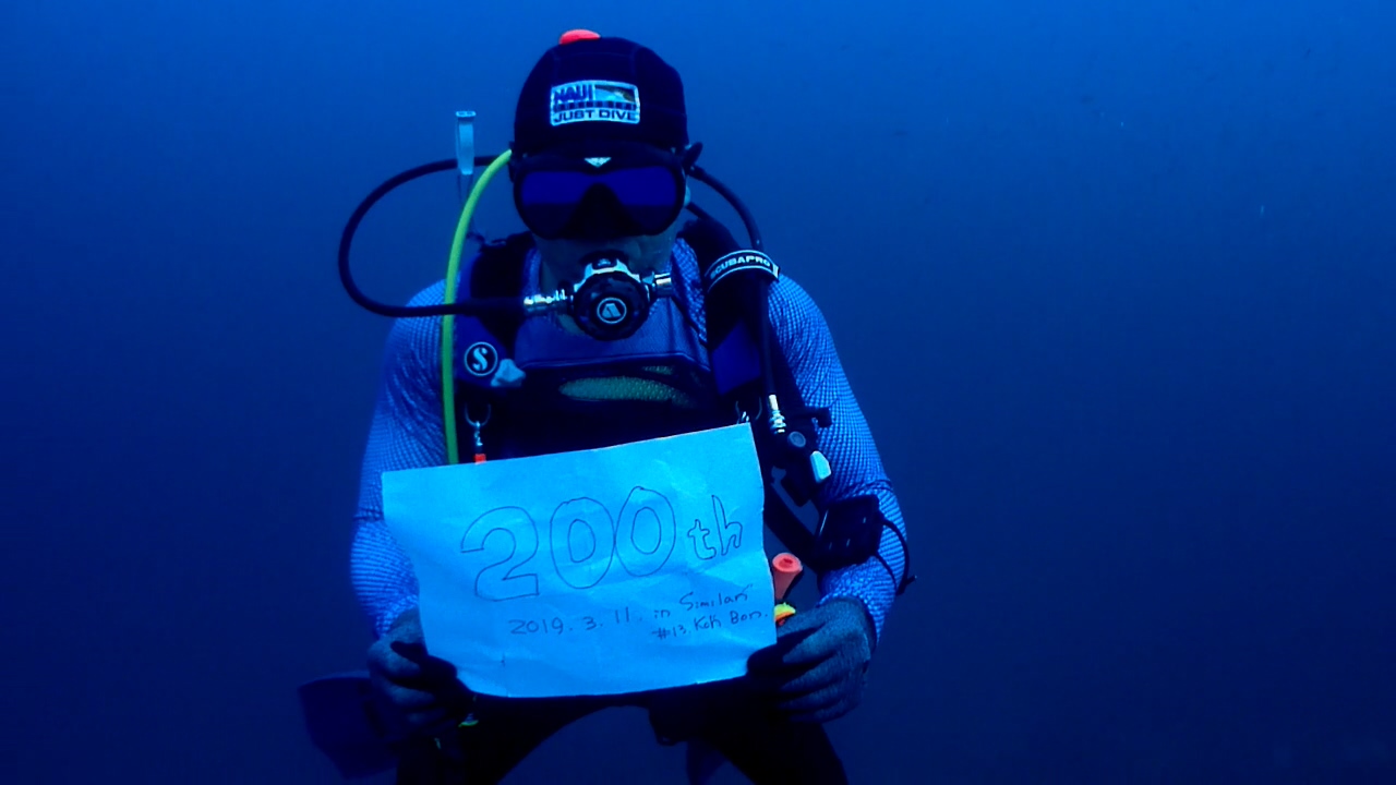 Similan Liveaboard #13. Koh Bon North