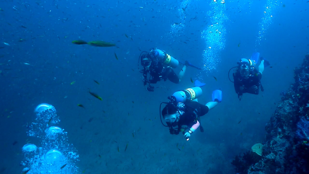 Similan Liveaboard #10.Richelieu Rock-1