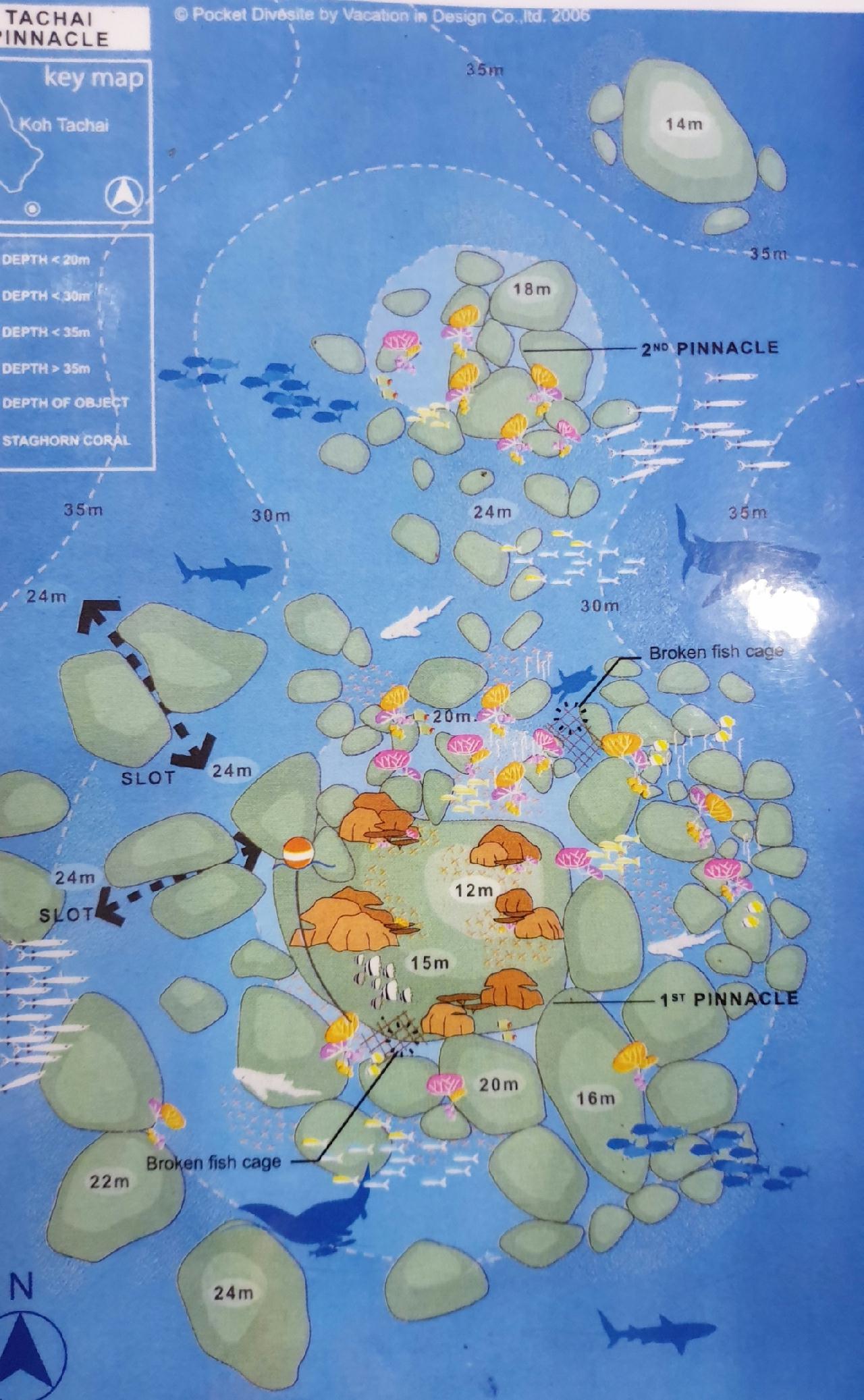 Similan Liveaboard #8.Tachai Pinnacle-2