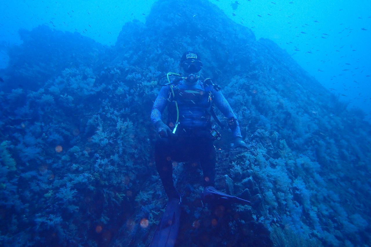 Similan Liveaboard #13. Koh Bon North