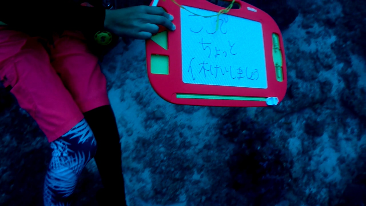 Similan Liveaboard #13. Koh Bon North