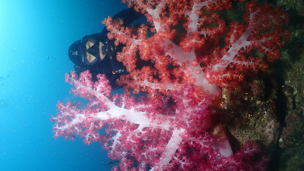 서귀포 - 섶섬 작은한개창