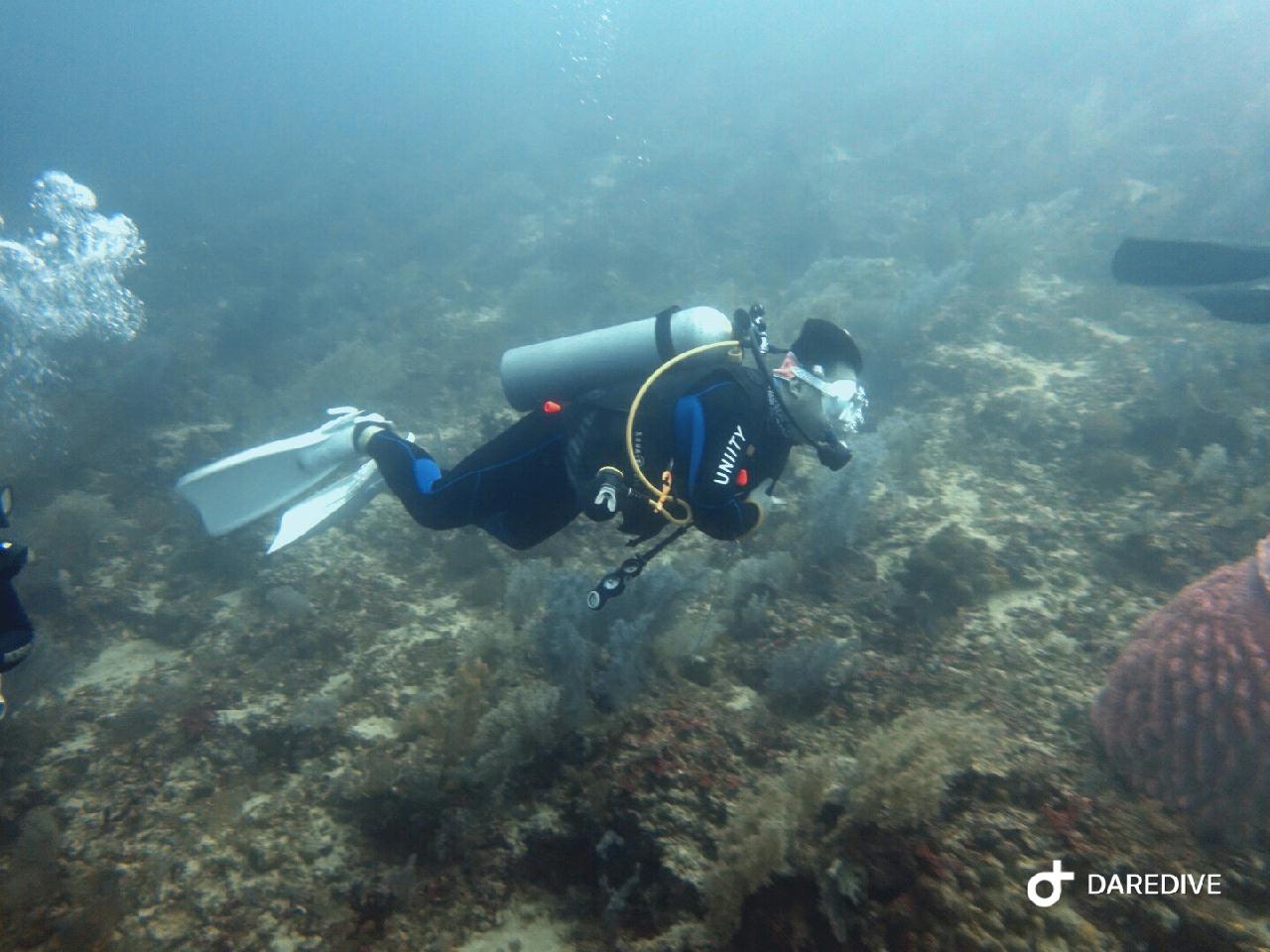 세부 - 샹그릴라