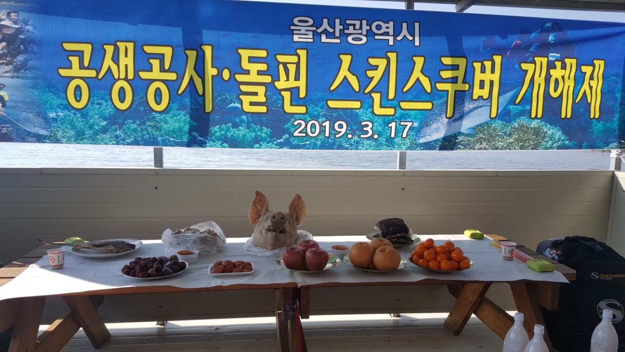 2019  개해제