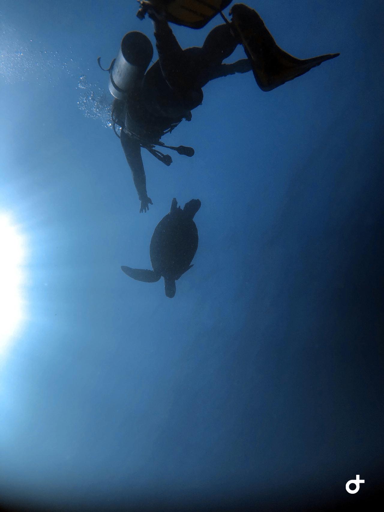 발리카삭 - 생츄어리