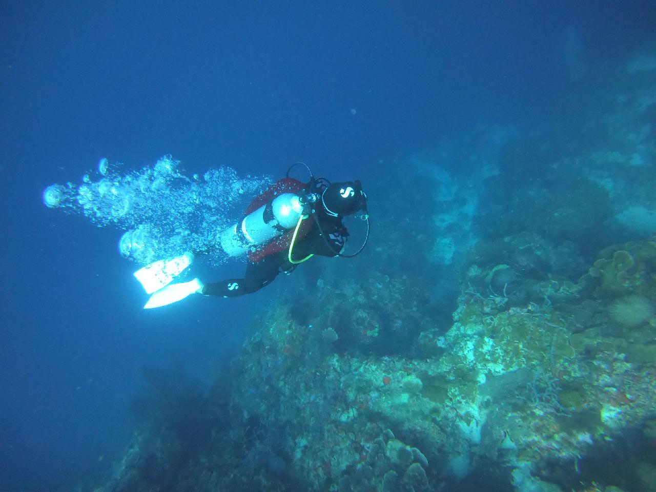 보홀 - 시크릿가든