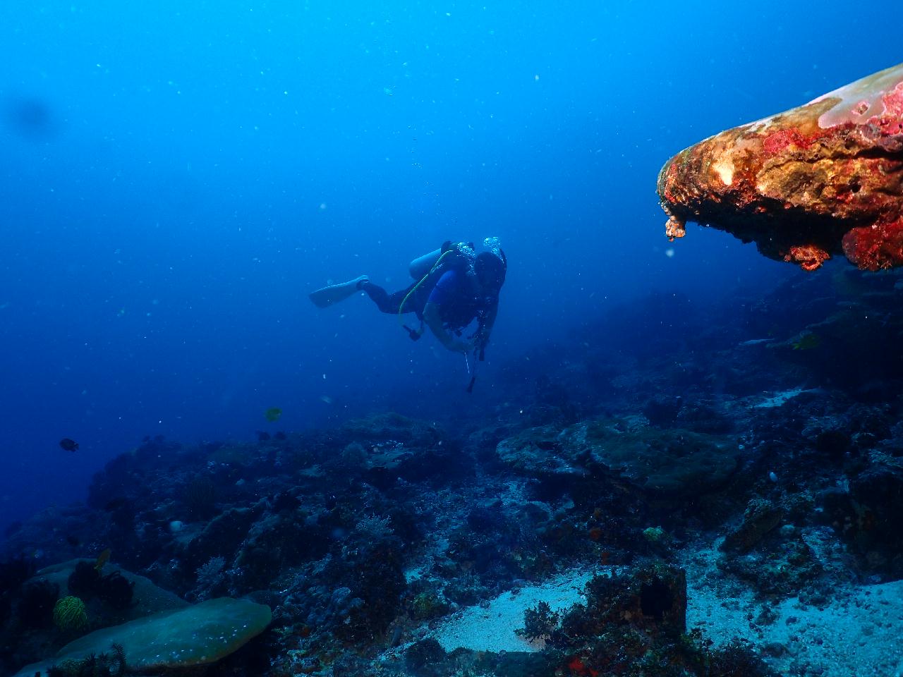 마아요는 릴로안 여객선 이름