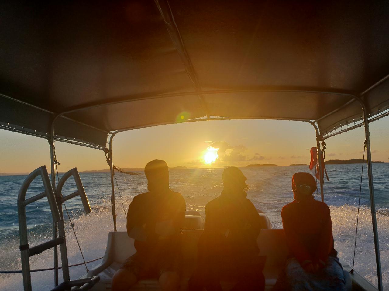 팔라우 마지막 다이빙