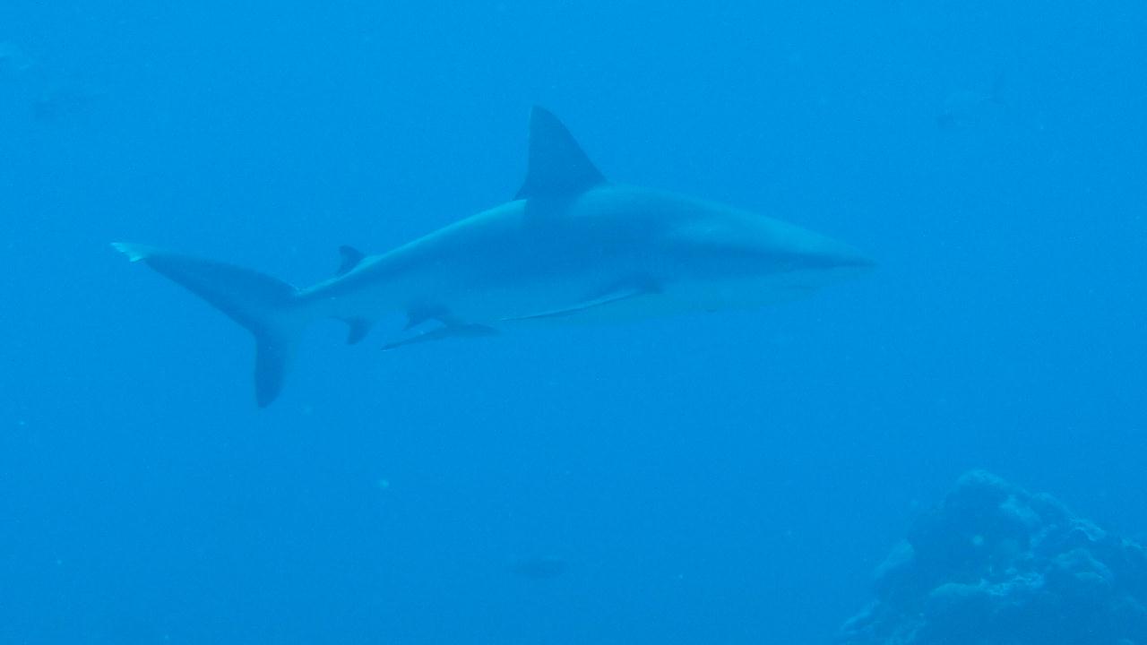 독일이 빨리가려고 뚤었다는길~