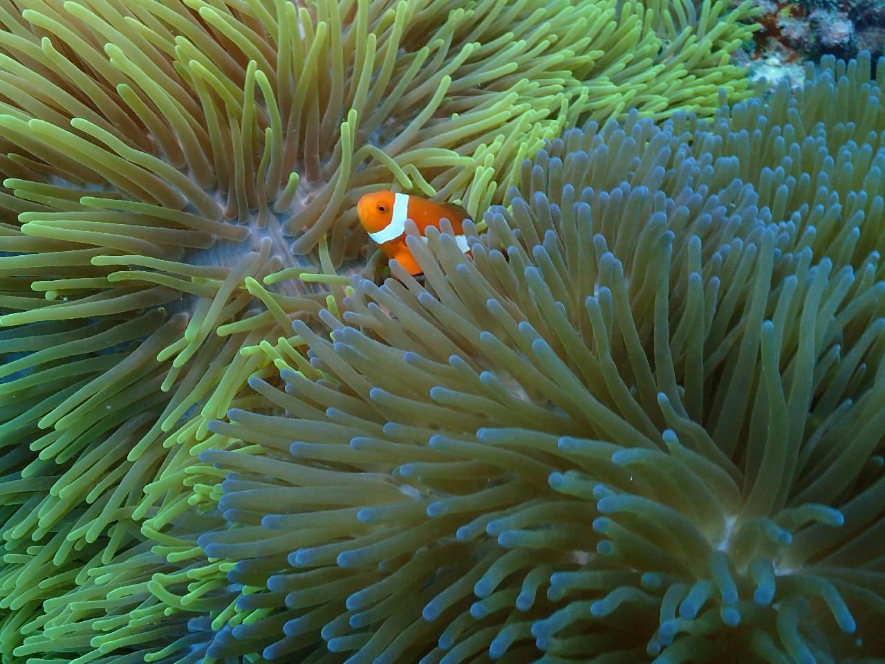 수밀론 오아시스에서 맘사까지 조류에 몸을 맡기고