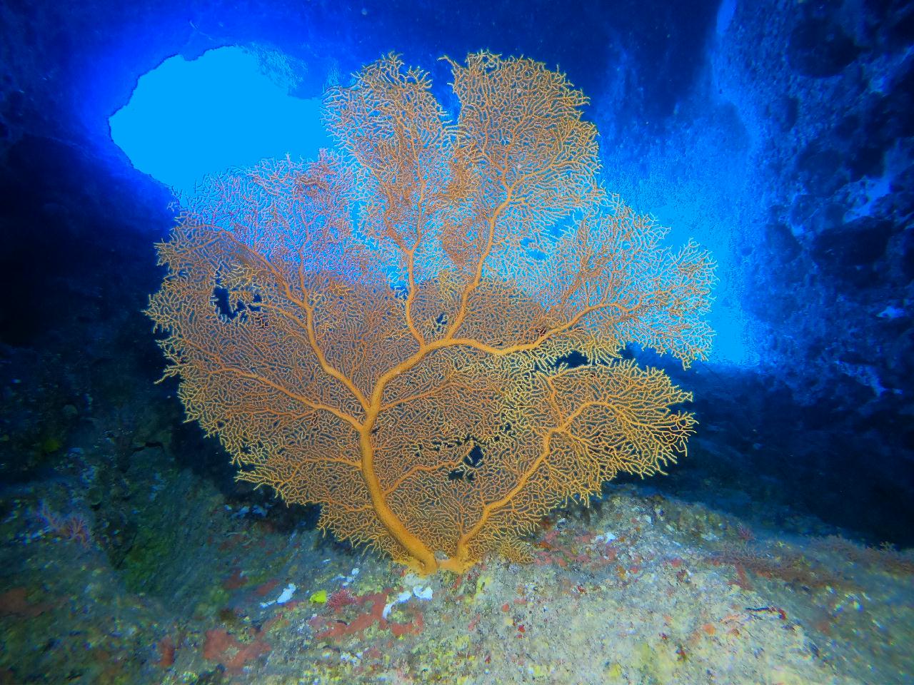 사이판 - 티니안그루또