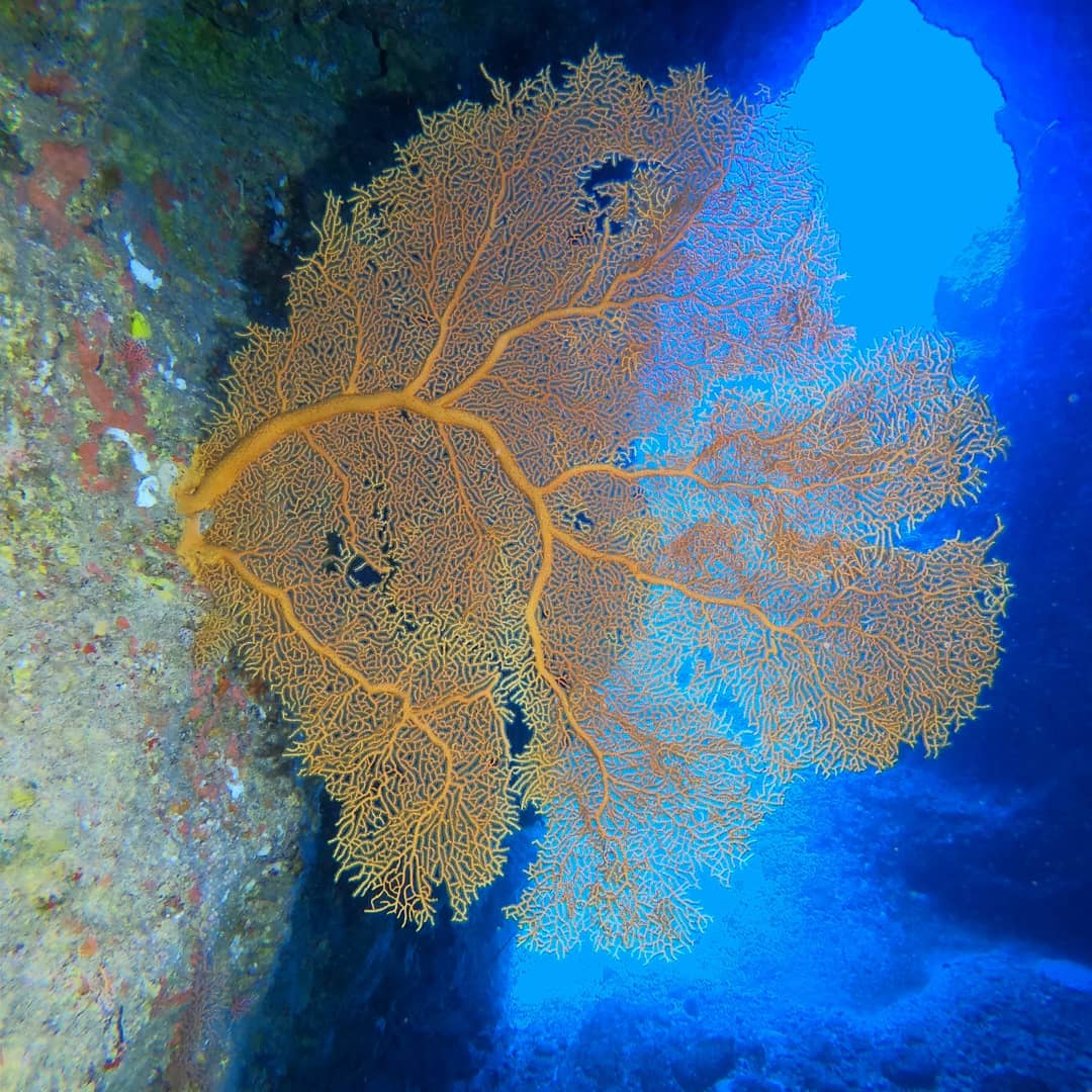 사이판 - 티니안그루또
