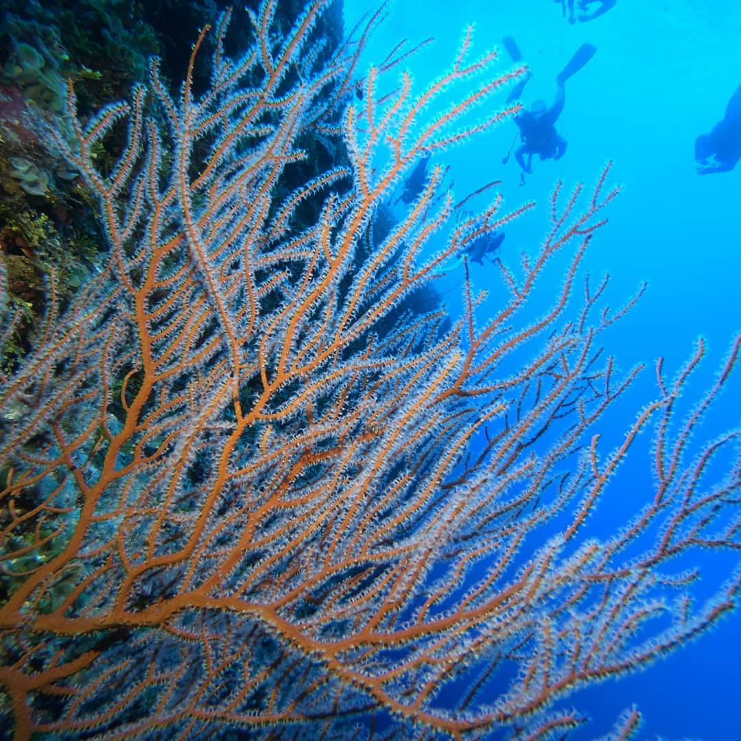 사이판 - 티니안그루또