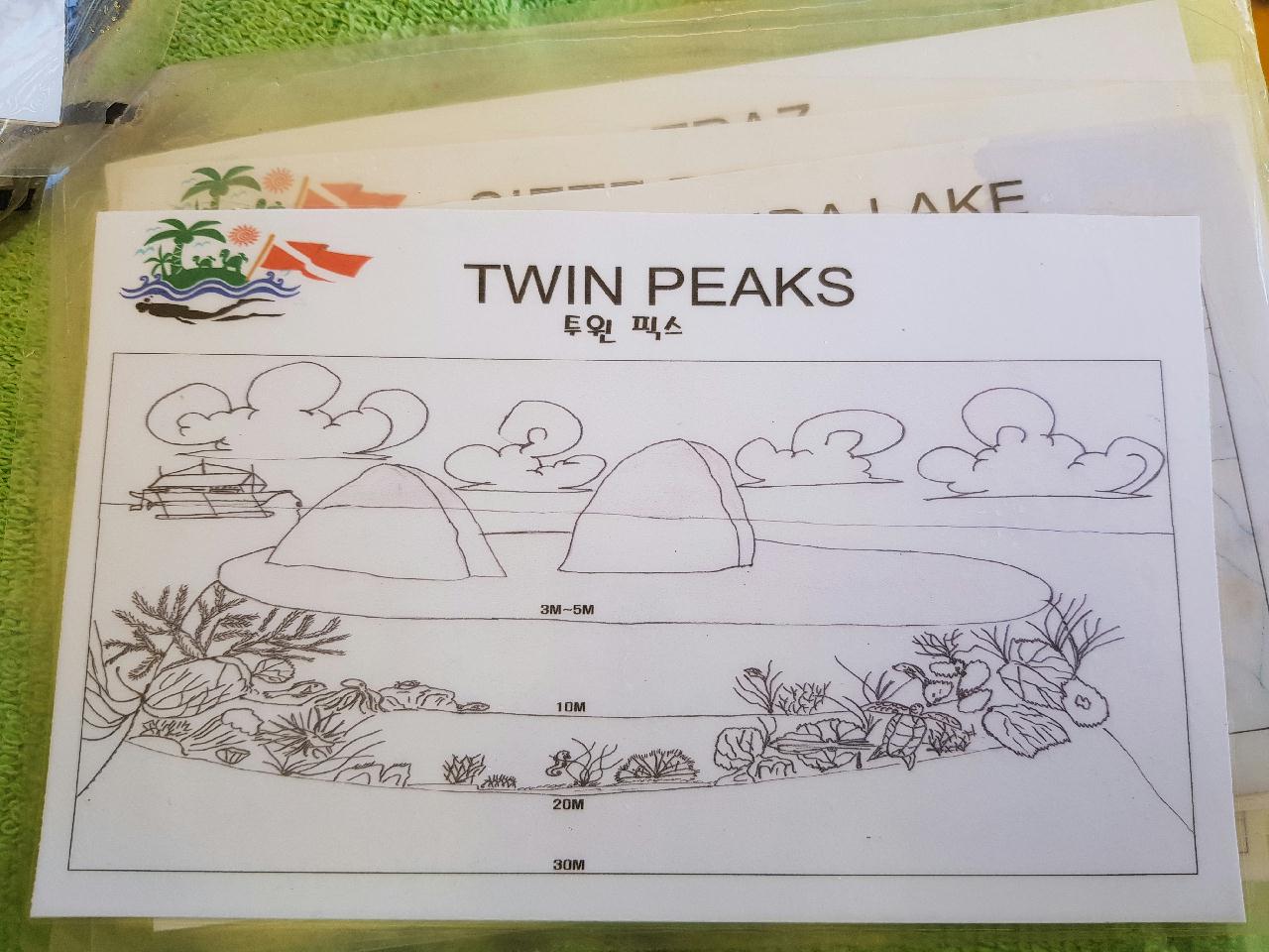 코론-산호 다이브 - TWIN PEAKS