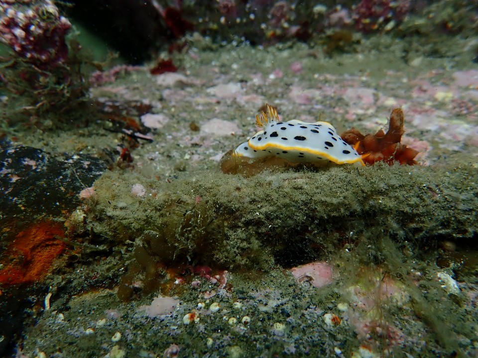 두번째 해양실습