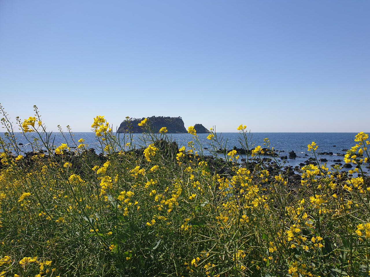 제주도 다이빙 포인트들