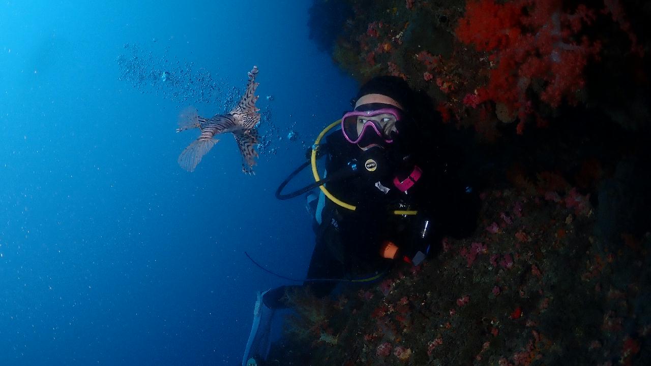 Lionfish, our mascot 