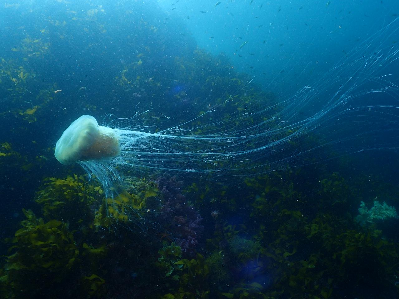 Jeju island, Korea - Beomseom