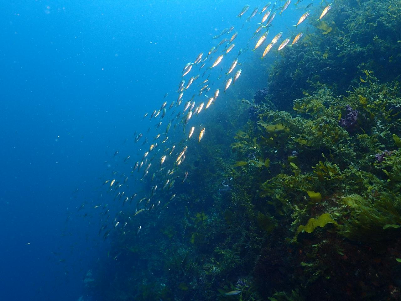 Jeju island, Korea - Seopseom Hangaechang