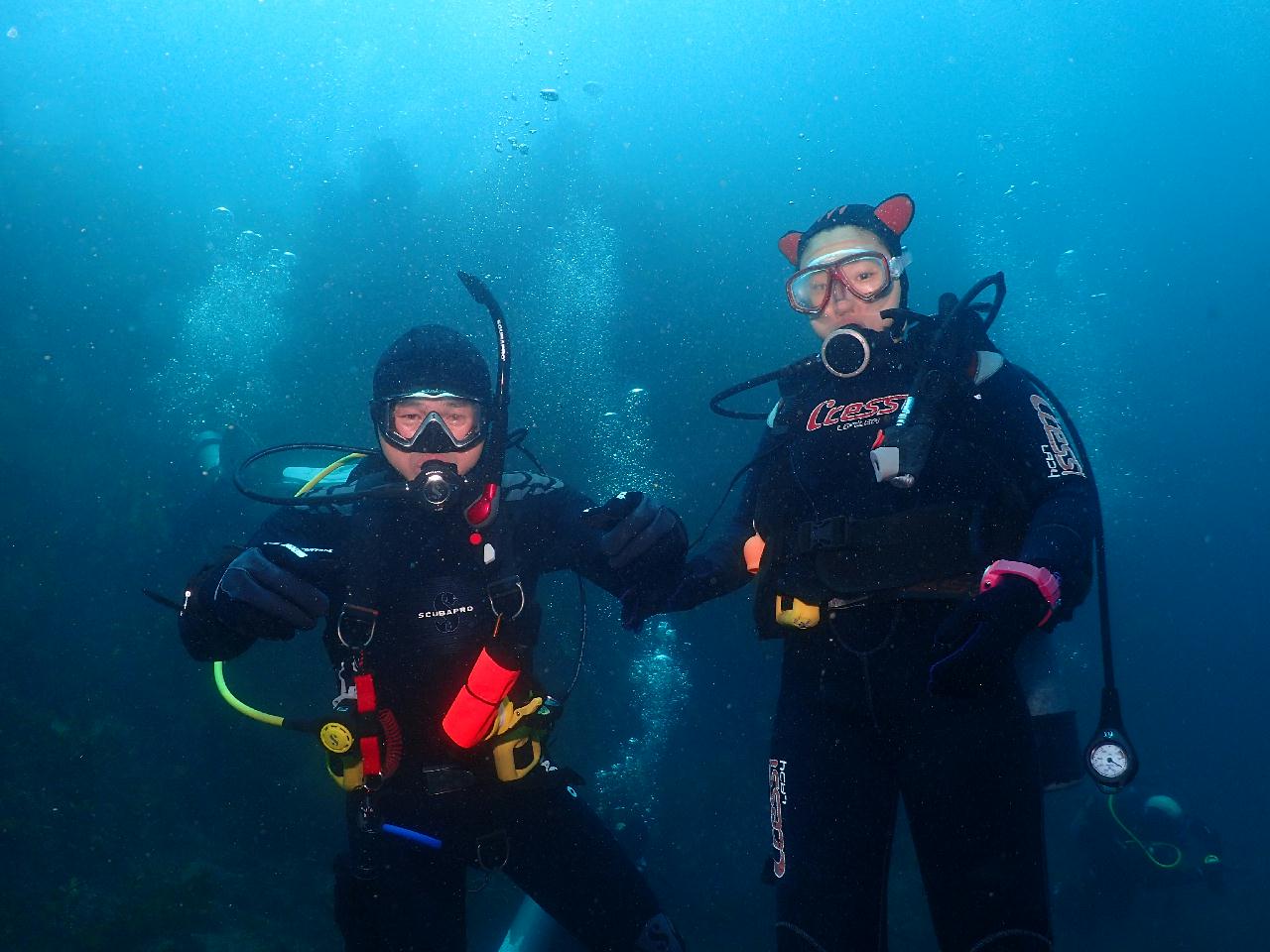 Nemo lives in Jeju Island.