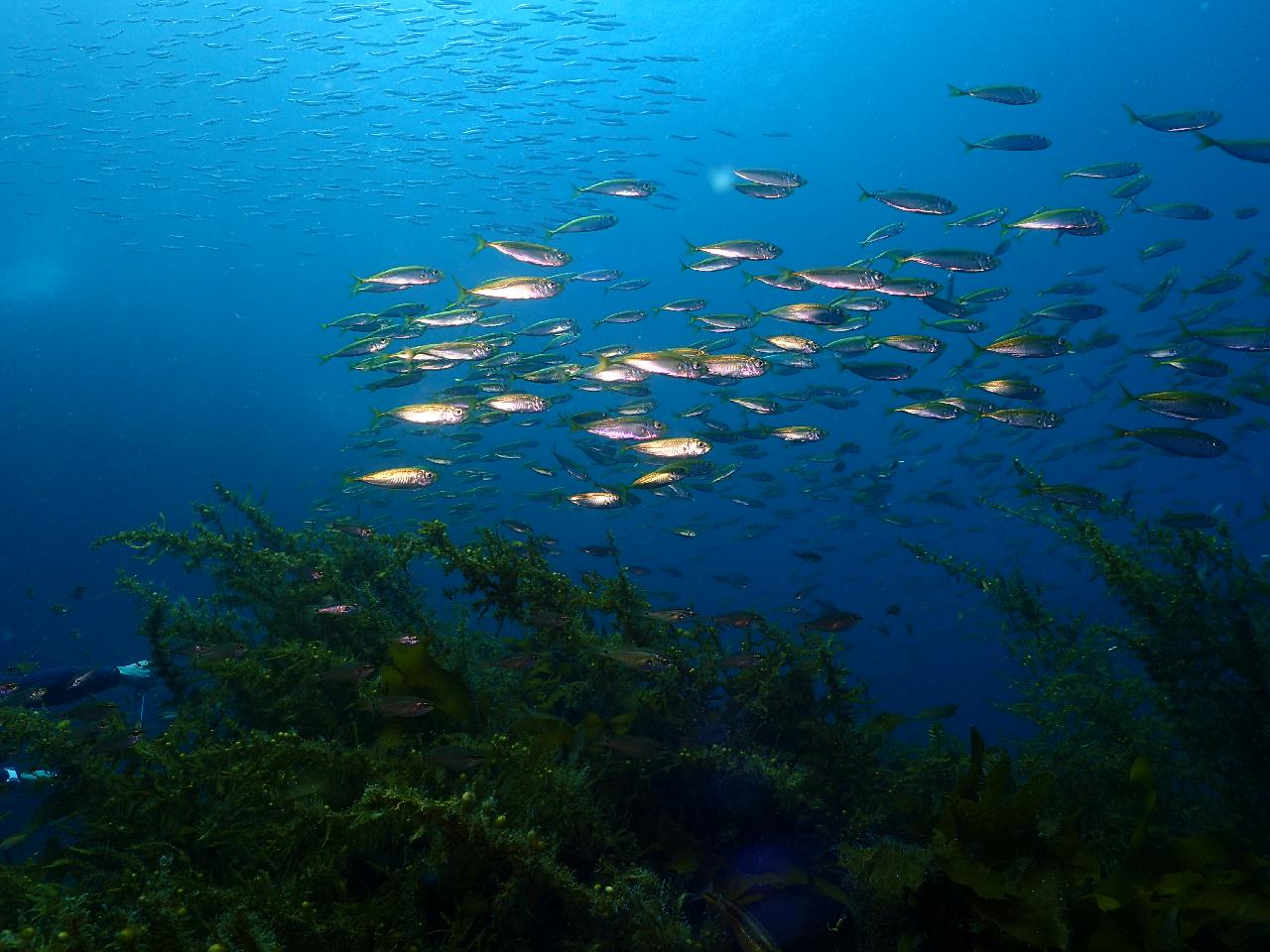 Jeju island, Korea - Seopseom Hangaechang