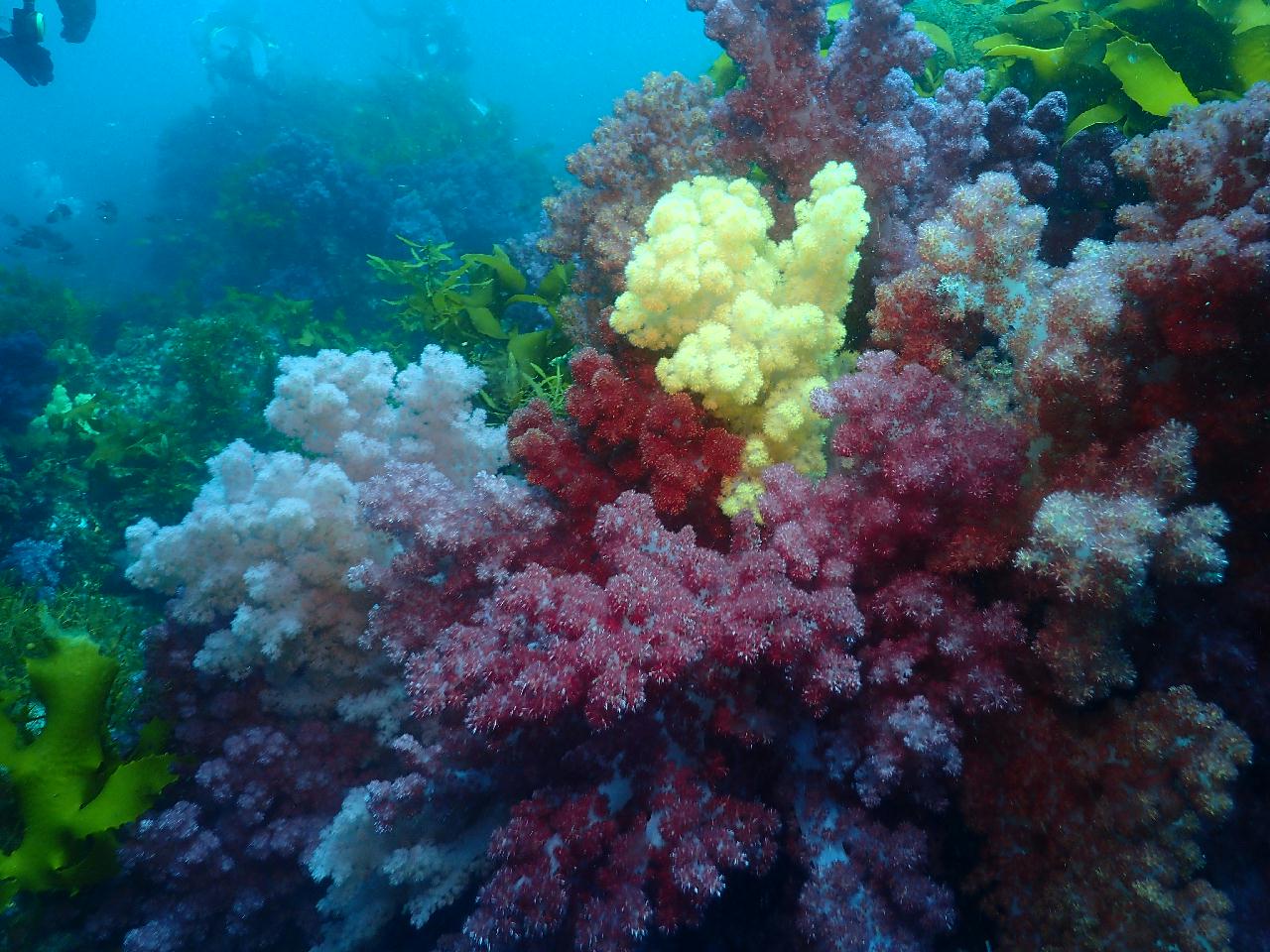 Jeju island, Korea - Beomseom