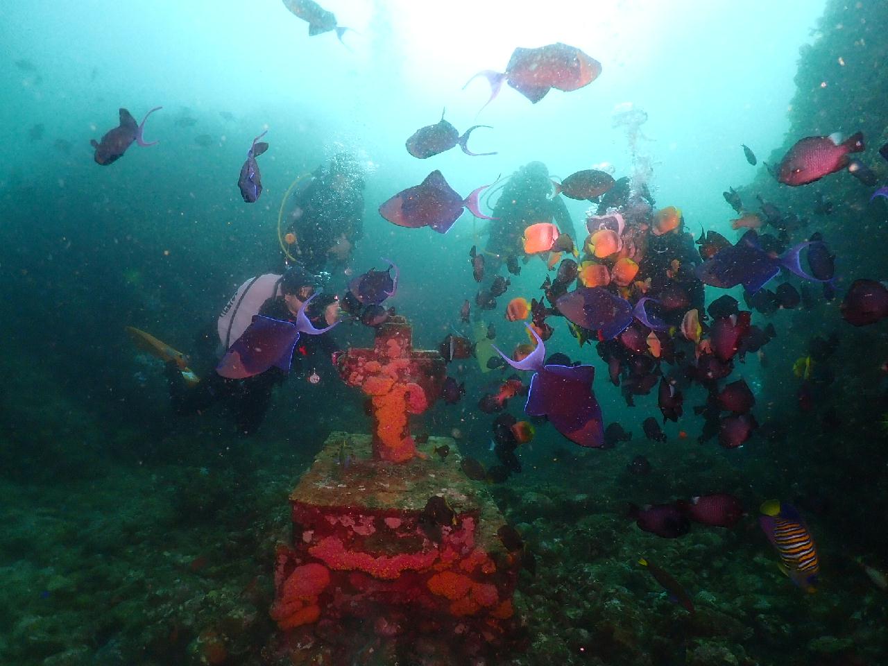 아닐라오 - catheral rock