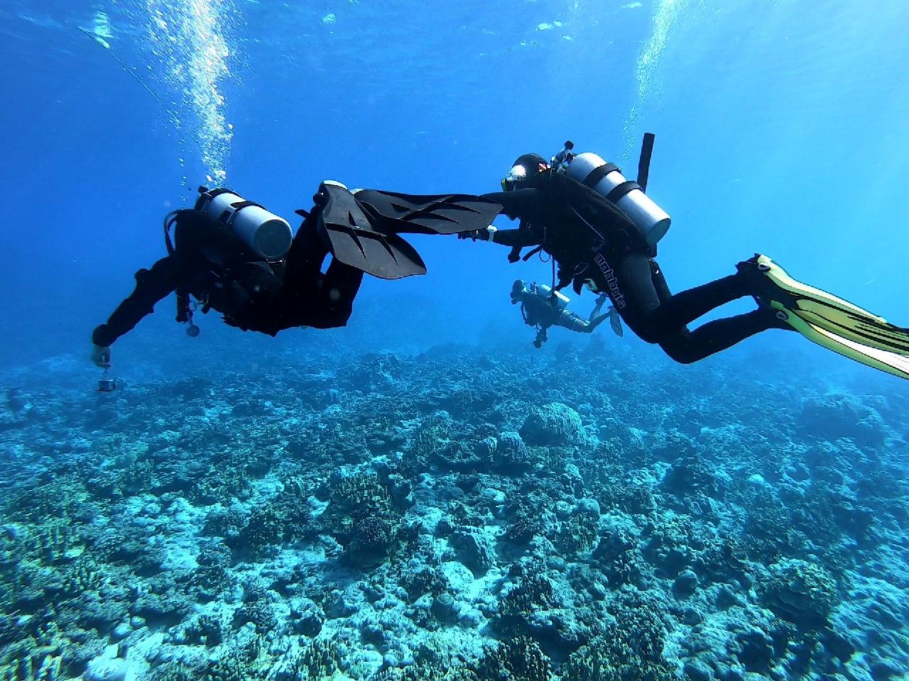 싸이판 - 올레아이