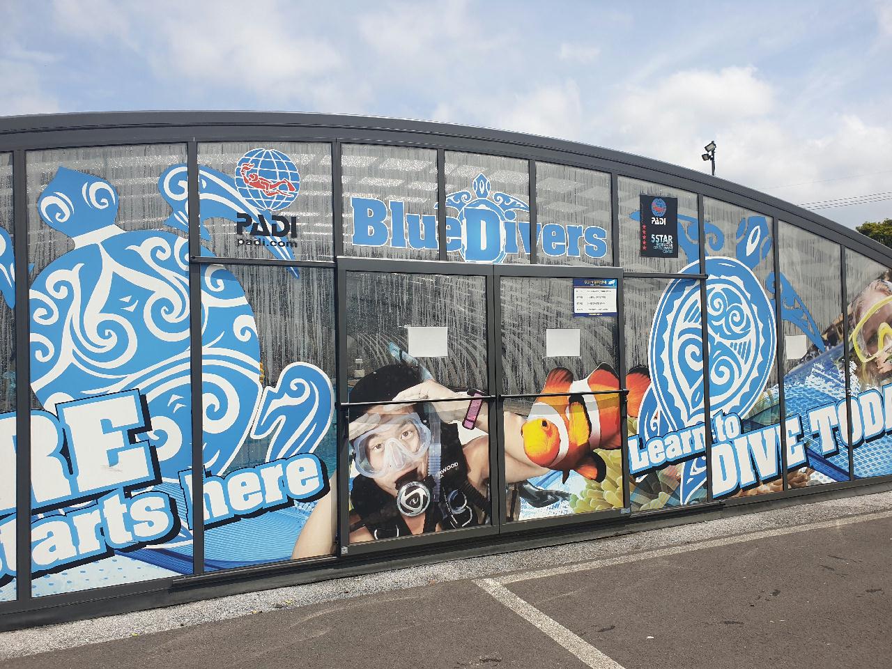 PADI 오픈워터 다이버 교육시작!!