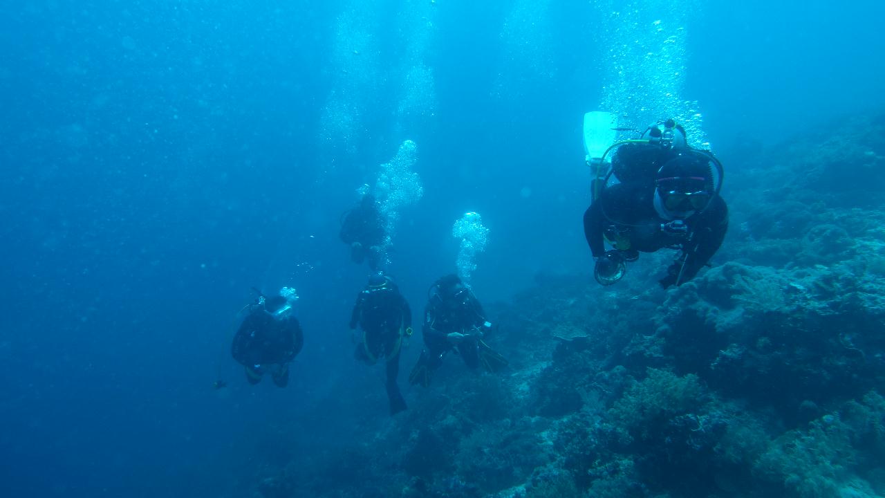 세부 막탄 [스쿠버블] - 올랑고 탈리마 월