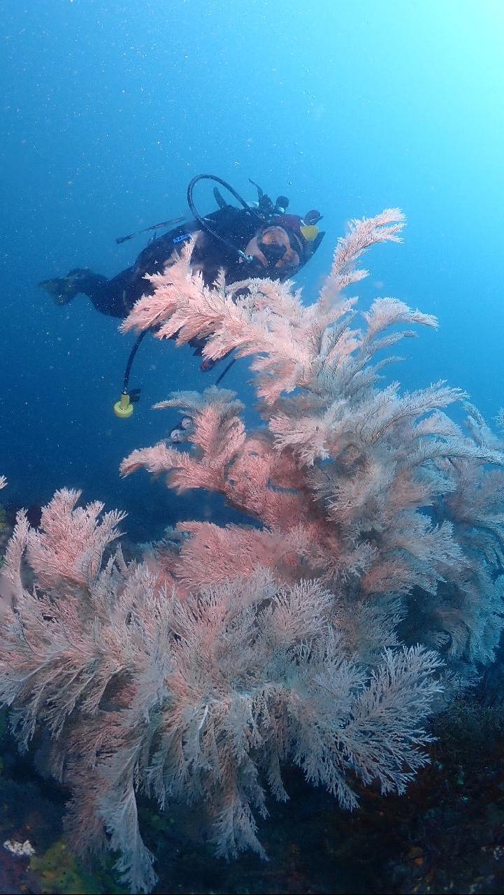 Fun diving with the guest from Malaysia