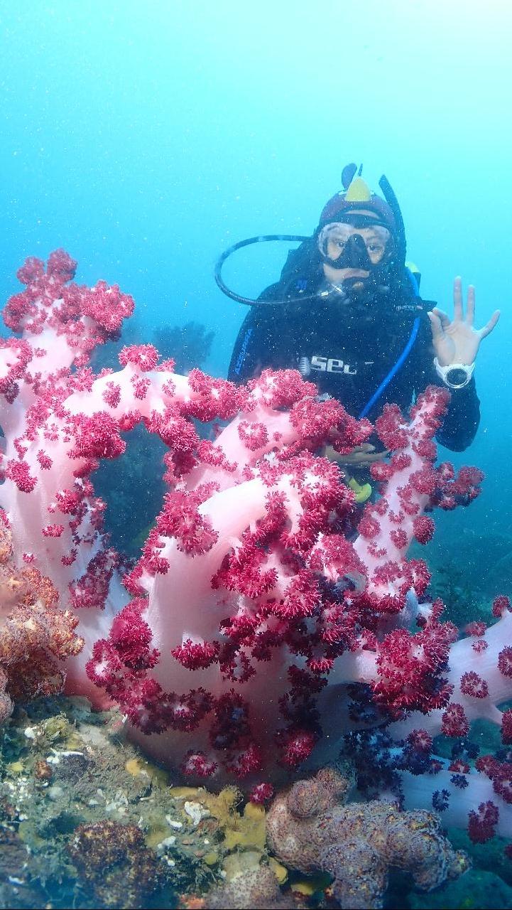 Fun diving with the guest from Malaysia