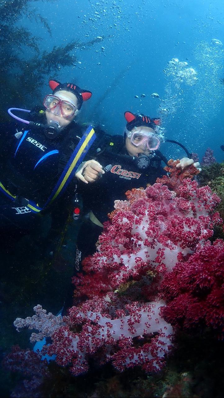 Discovery diving with the guests from Malaysia