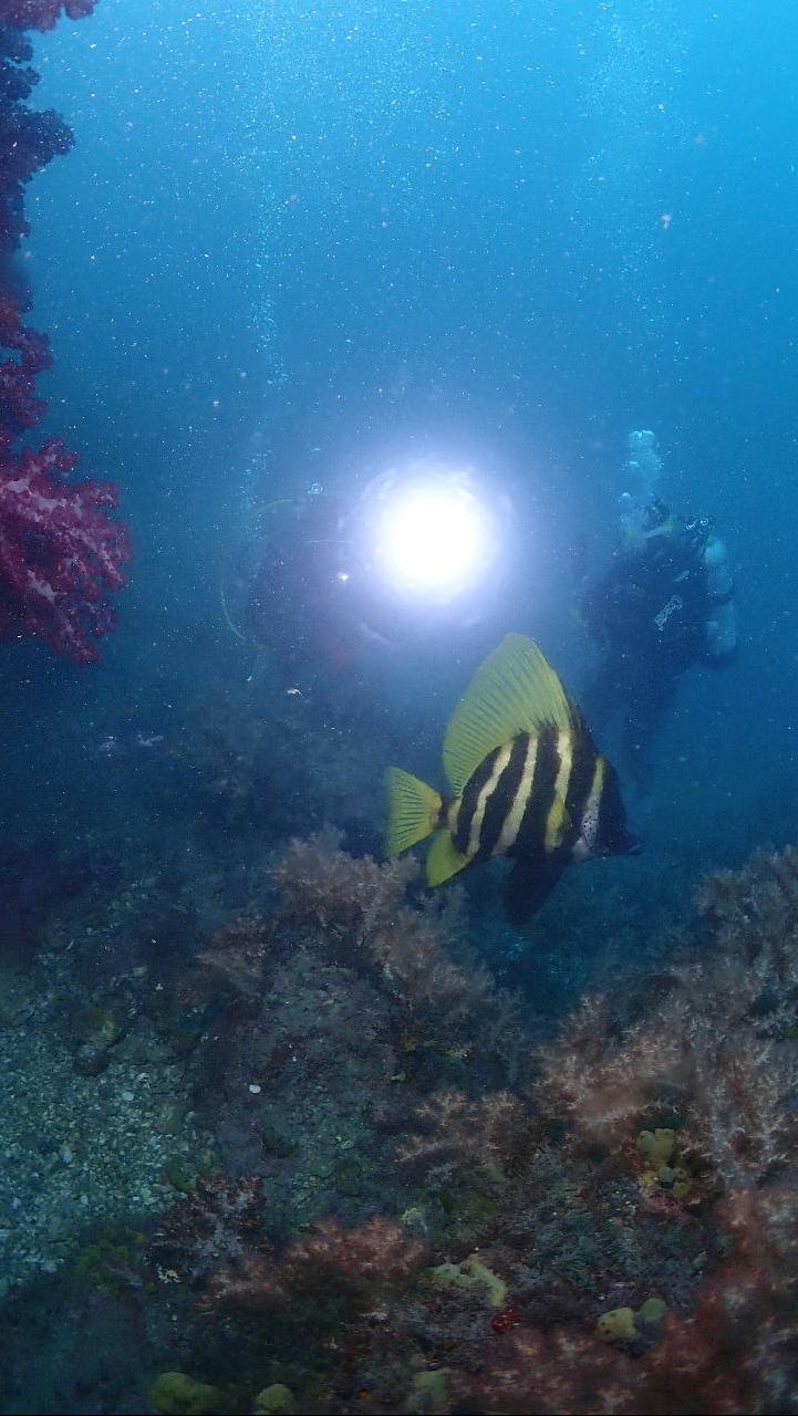 서귀포 - 문섬새끼섬→불턱