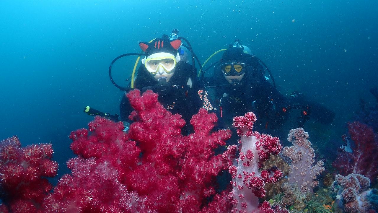 서귀포 - 문섬새끼섬→불턱