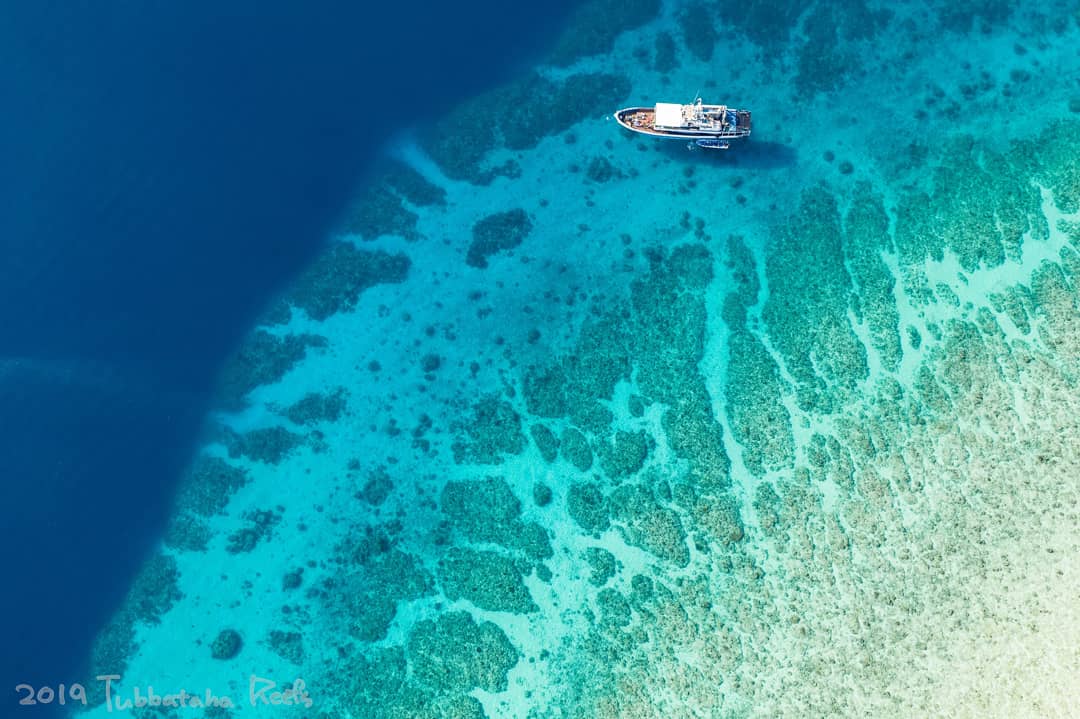 Fun diving