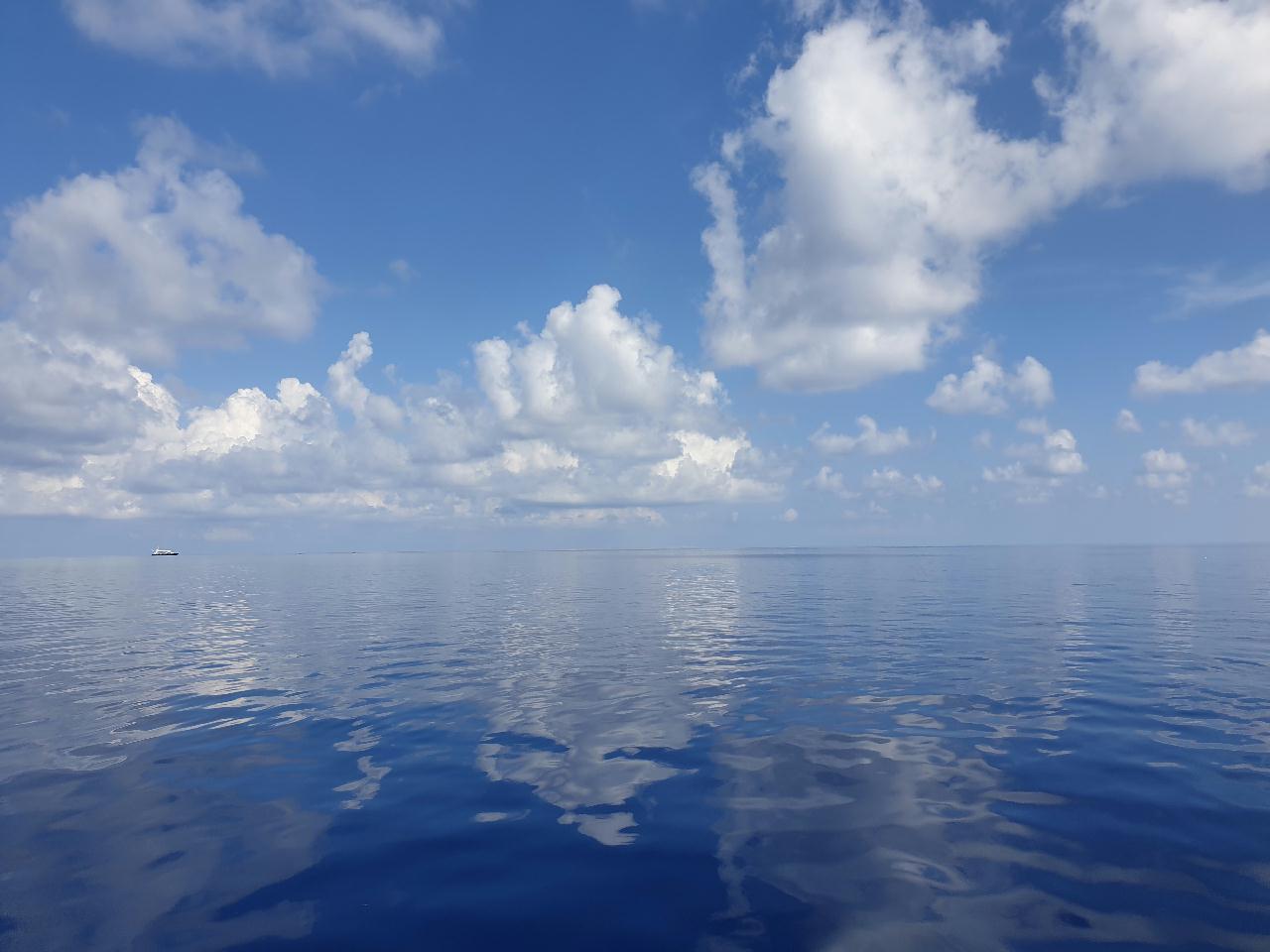 Fun diving