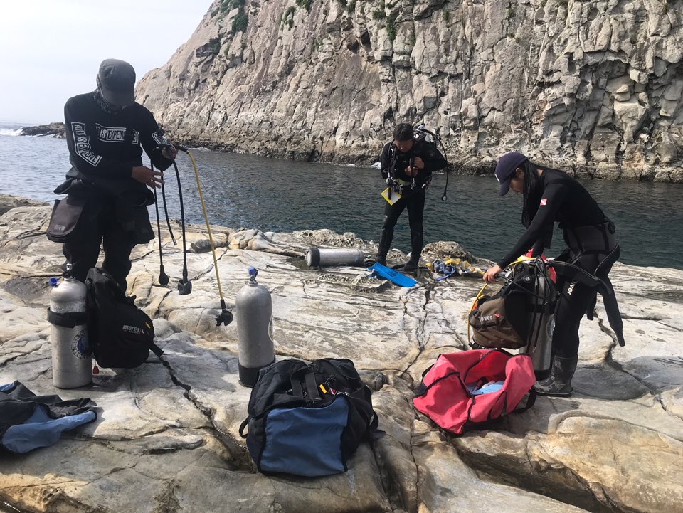 Discovery diving