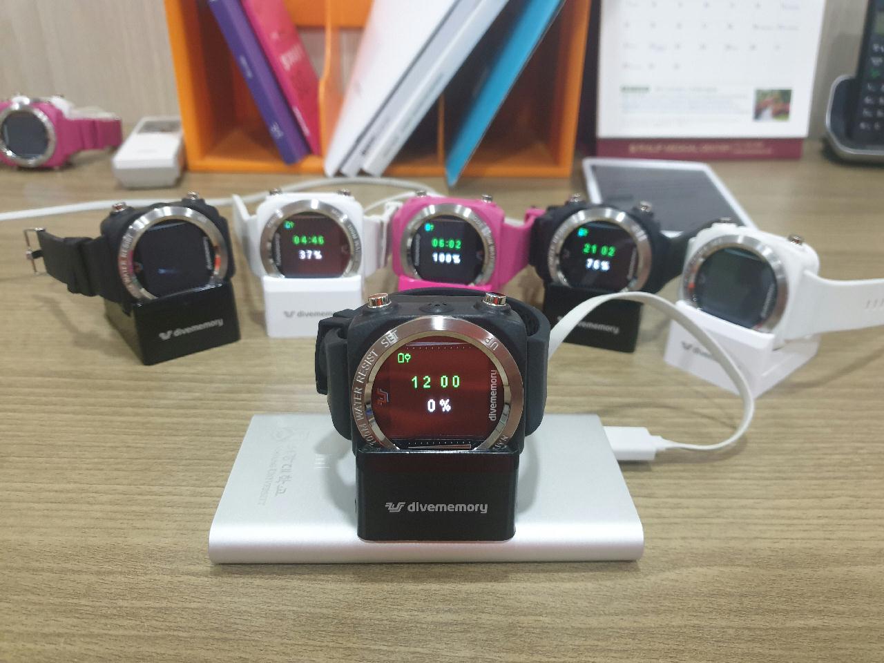 다이브메모리 DM1 다이브 컴퓨터의 제주도 출장길