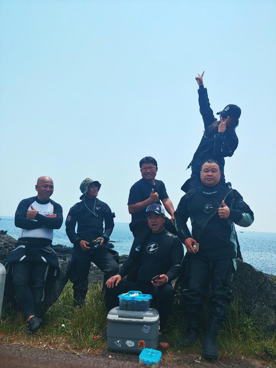 돌고래를 찾아서