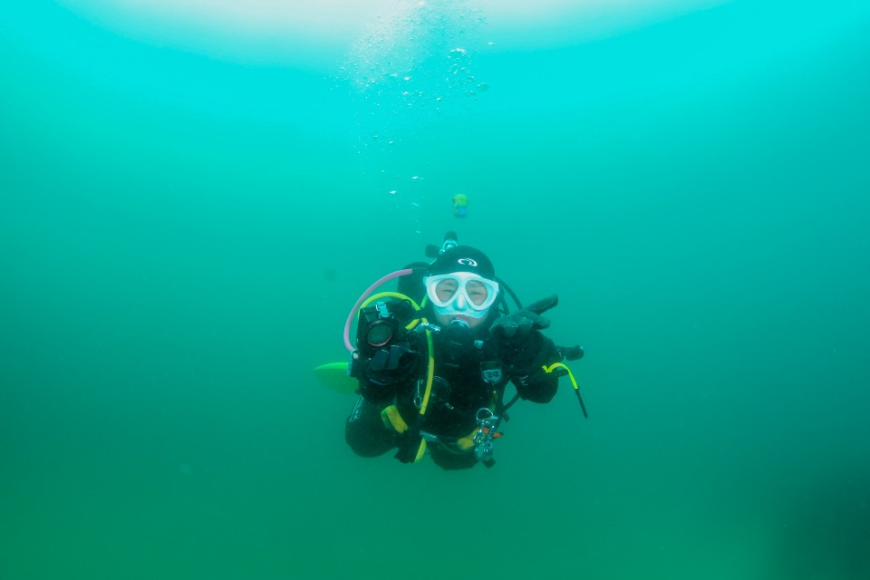 유쾌상쾌통쾌한 핵꿀잼 다이빙