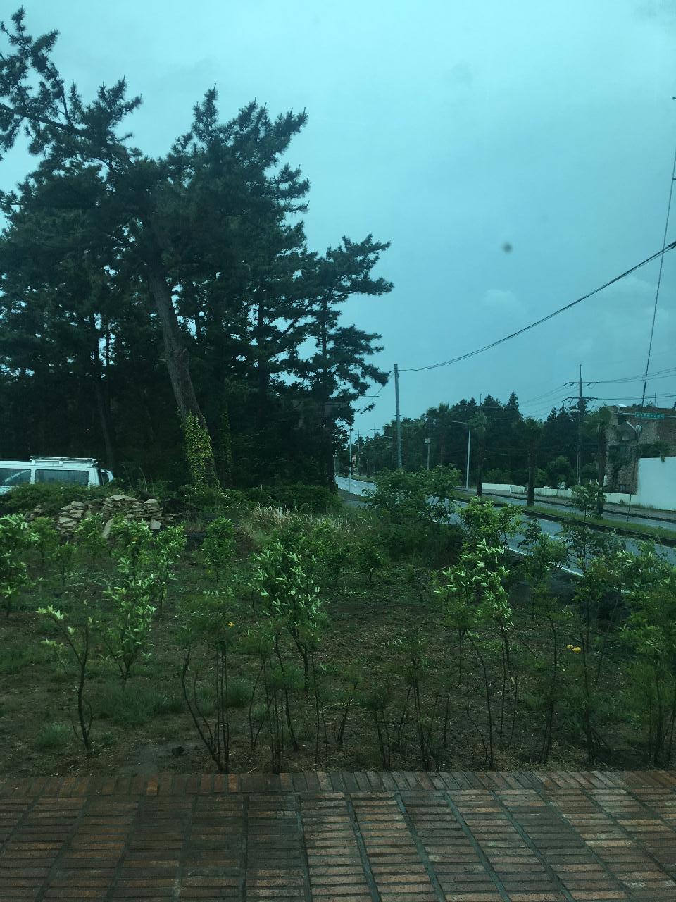 제주는 주룩주룩 비가옵니다.