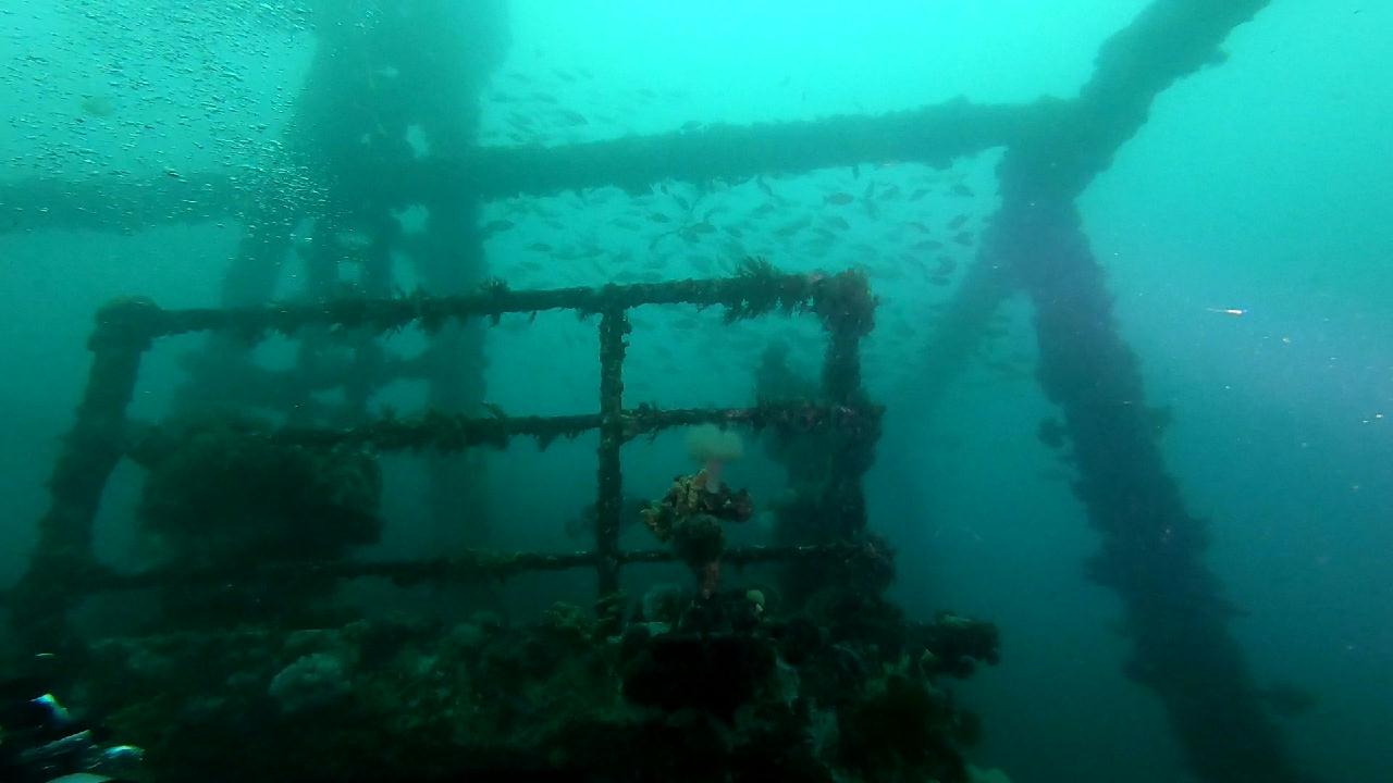 울진 씨워드스쿠버 - 해경정