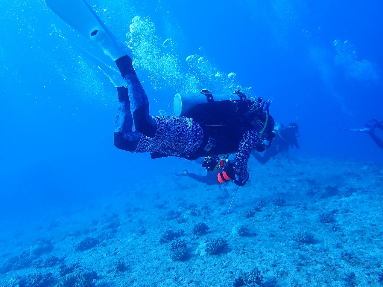 사이판.라우라우 첵 따빙