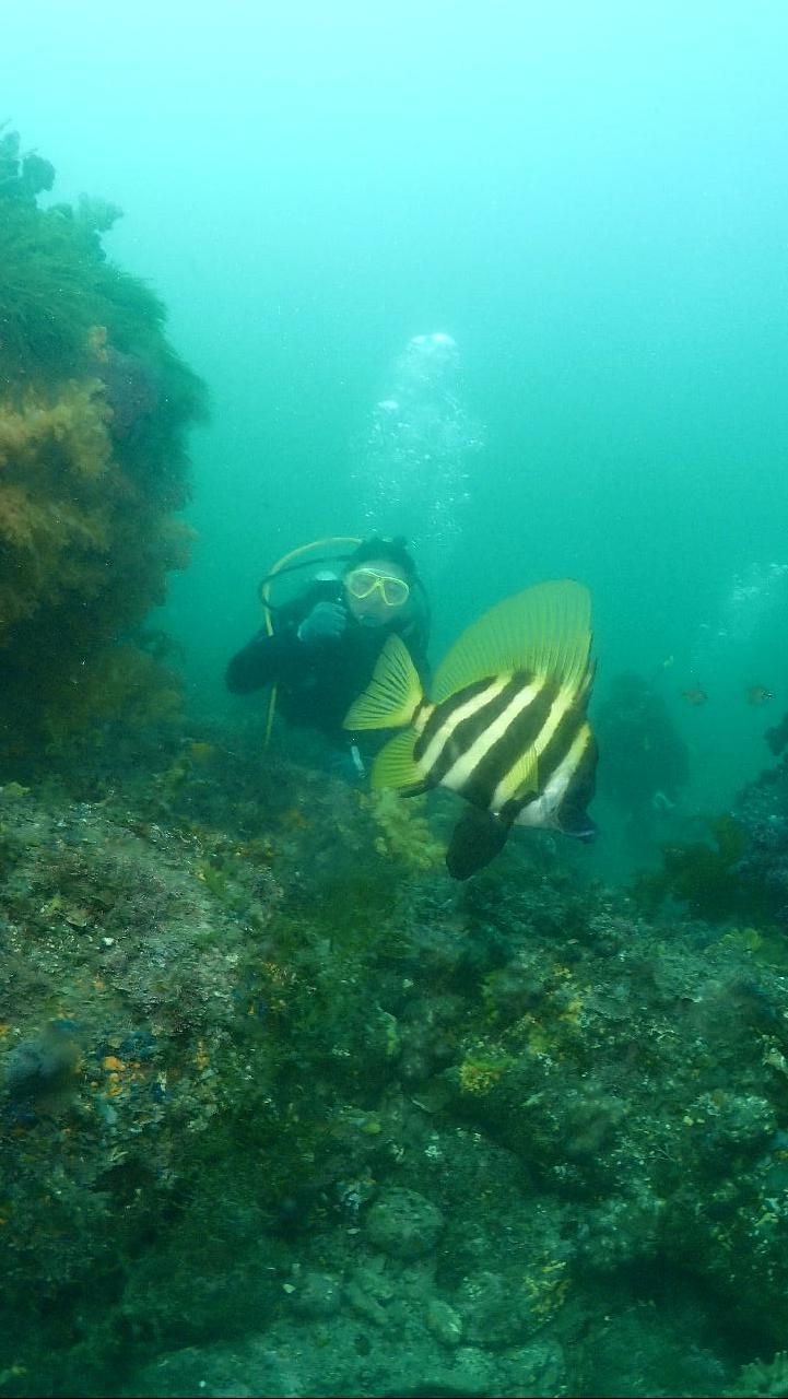반가운육동가리