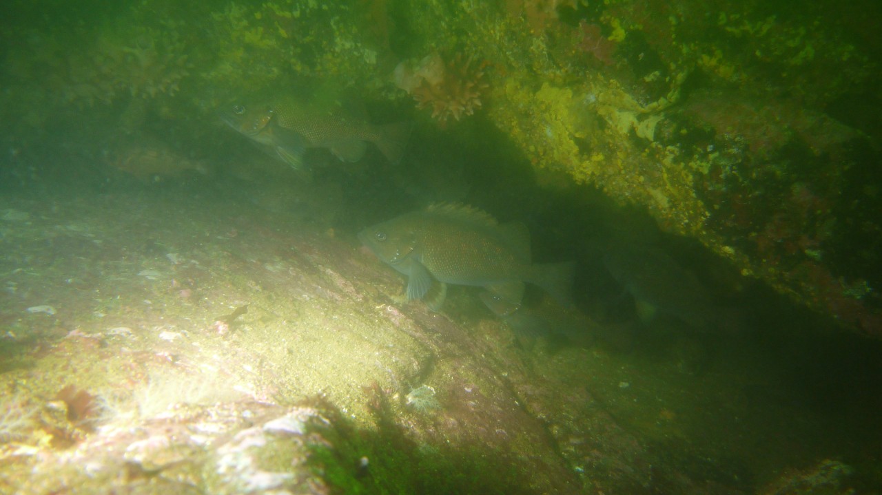 바람의언덕 부의 작업