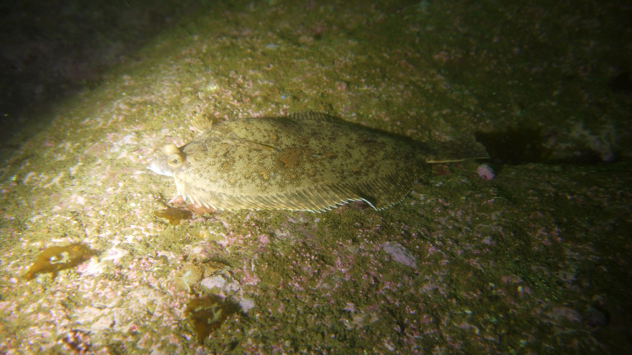 바람의언덕 부의 작업