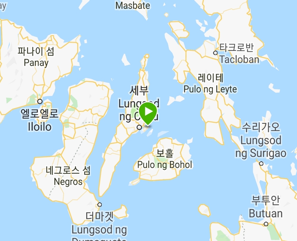 교육다이빙