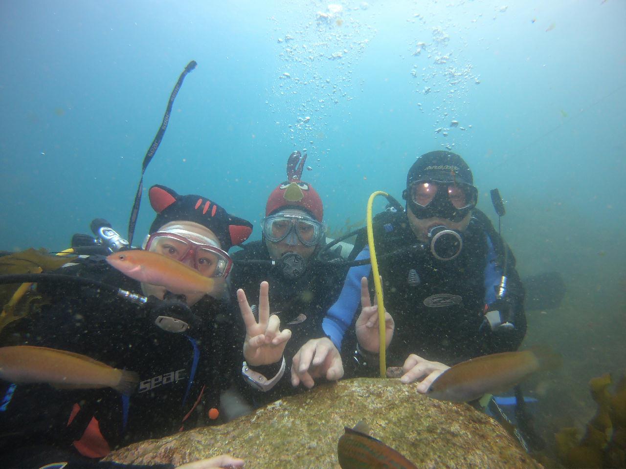 보기좋은 가족다이버