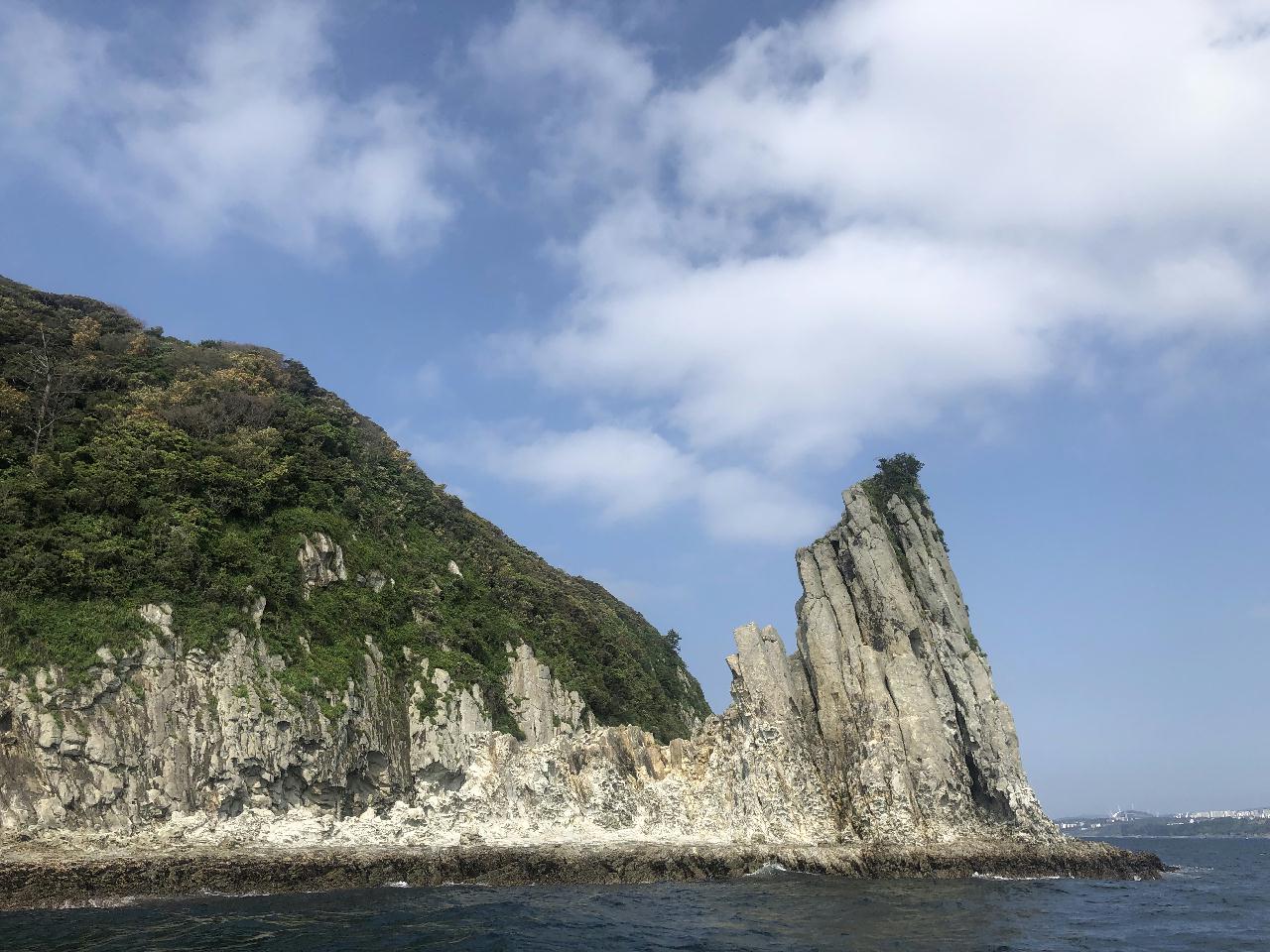 어드벤스 1 어류식별